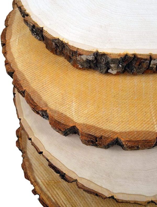 Goodsright Decor 4 Pack Basswood Round Rustic Wood Slice, Sanded Side, 9-12" Diameter, Excellent for Wedding Centerpiece, DIY Woodland Projects, Table Chargers, Pyrography, and Country Decor