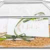 Goodsright Decor 10.2" x 5.9" x 7.9" Small Glass Cards Box with Slot and Lock for Wedding Reception - Birthdays Party Card Holder, Home Geometric Decorative, Clear Gold Terrarium (Glass Box Only)