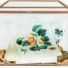 Goodsright Decor 10.2" x 5.9" x 7.9" Small Glass Cards Box with Slot and Lock for Wedding Reception - Birthdays Party Card Holder, Home Geometric Decorative, Clear Gold Terrarium (Glass Box Only)
