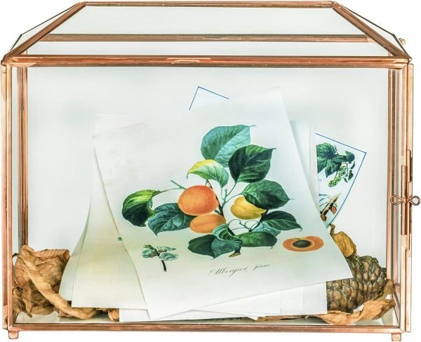 Goodsright Decor 10.2" x 5.9" x 7.9" Small Glass Cards Box with Slot and Lock for Wedding Reception - Birthdays Party Card Holder, Home Geometric Decorative, Clear Gold Terrarium (Glass Box Only)