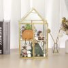 Goodsright Decor 2 Tier Clear Glass Storage Box, Gold Mirrored Jewelry Makeup Display Organizer Case, Decorative Tower box Storage for Trinket Perfume Lipstick Figure Statue Toy Display, House Shape