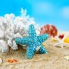Goodsright Decor Hinged Metal Starfish Jewelry Box Decorative Box Ring Holder Trinket Organizer Earring Necklace Storage Box Jewelry Display Box Gift for Women Girl